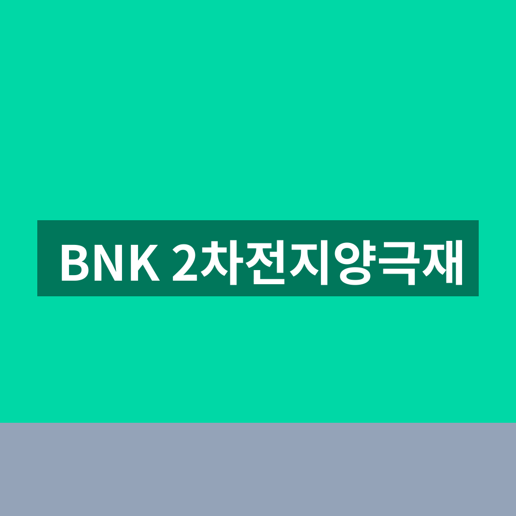 BNK 2차전지양극재