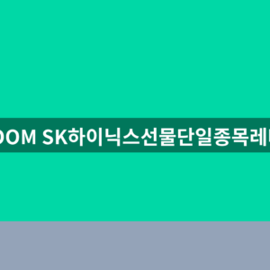 KIWOOM SK하이닉스선물단일종목레버리지 ETF 주가 1분만에 확인하는법