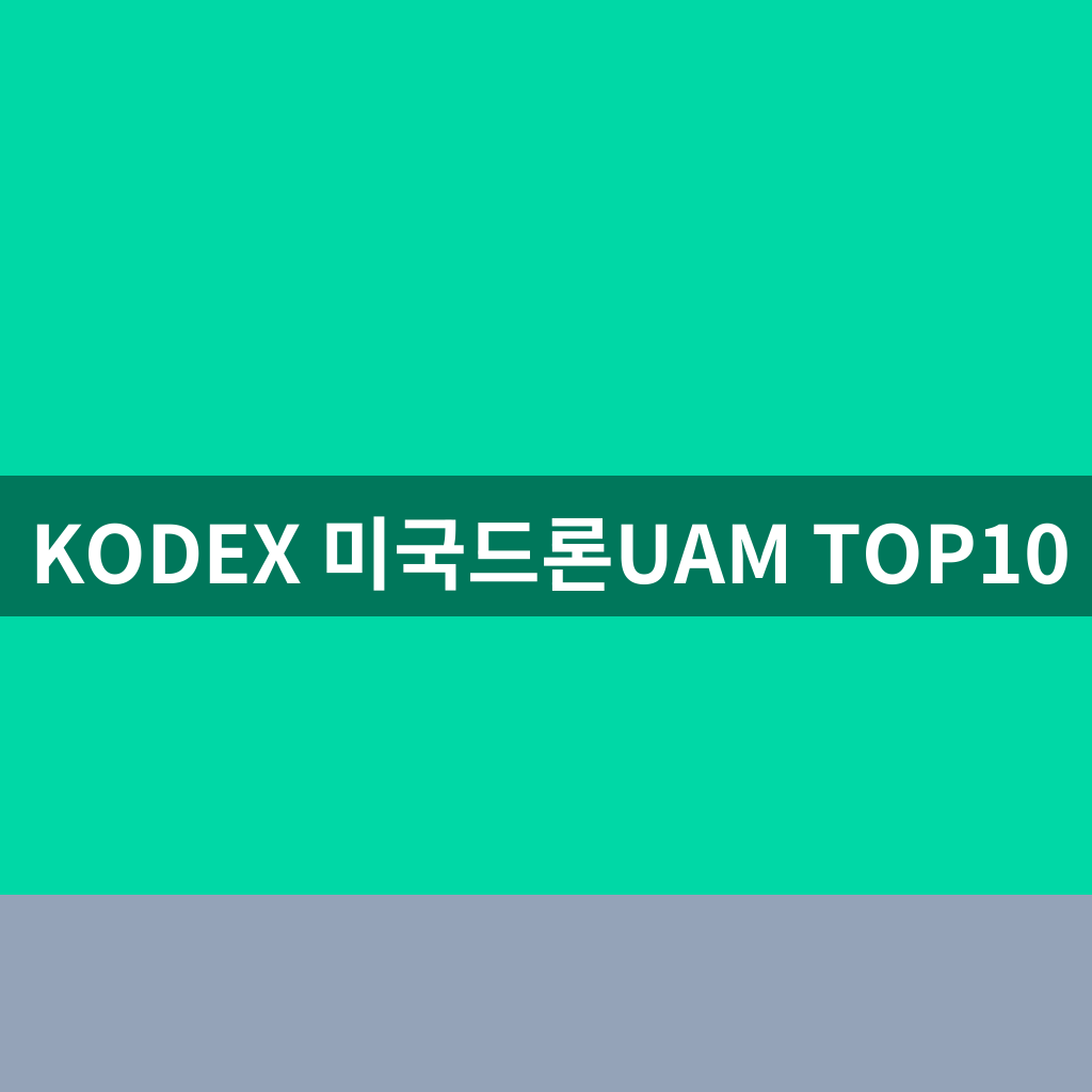 KODEX 미국드론UAM TOP10