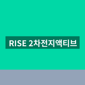 RISE 2차전지액티브 ETF 전망 1번에 확인하는법