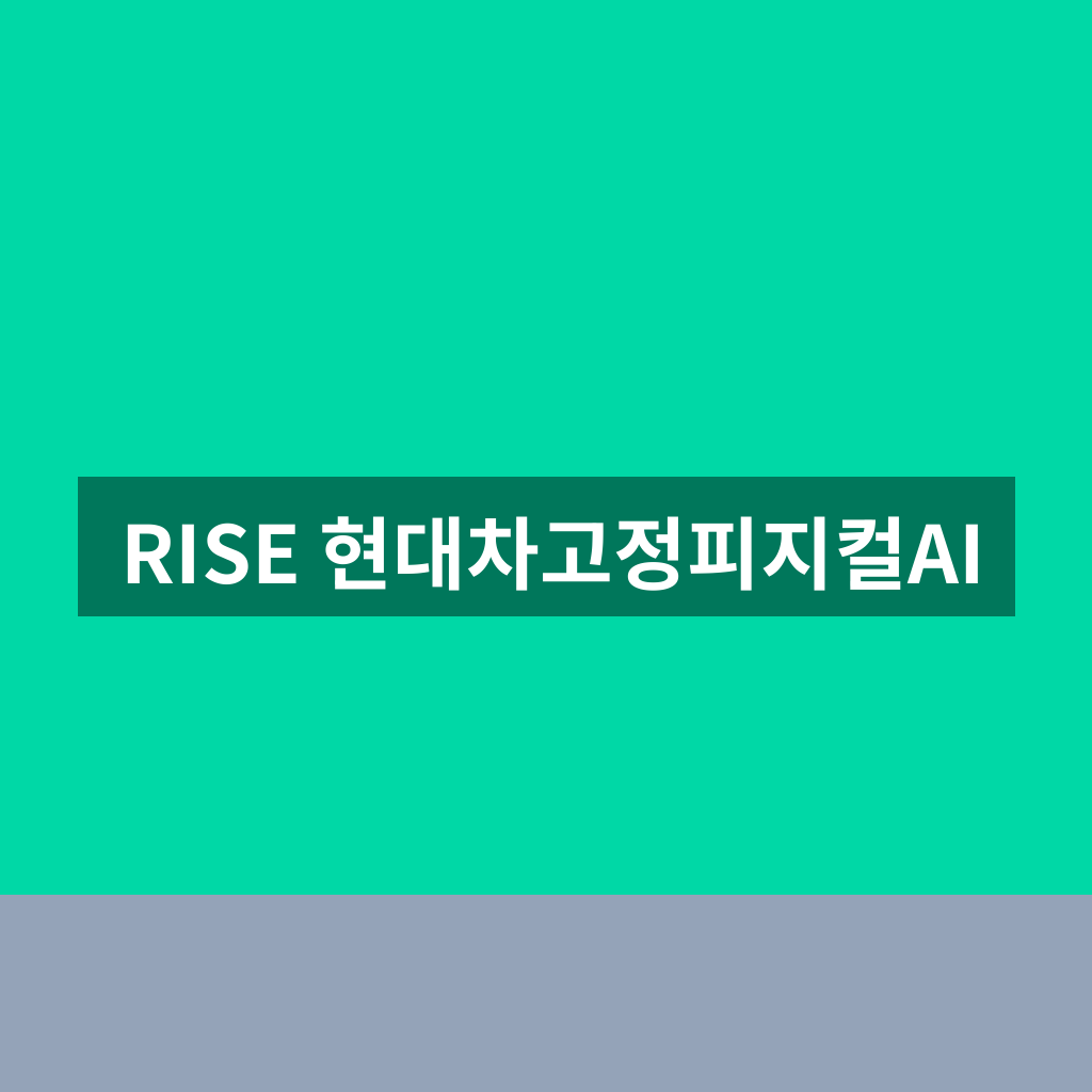 RISE 현대차고정피지컬AI