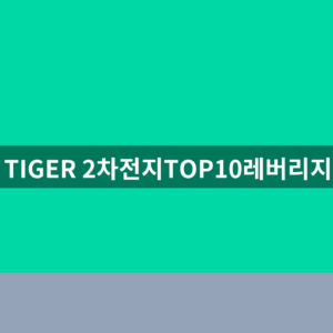 TIGER 2차전지TOP10레버리지 주가 1번 확인법