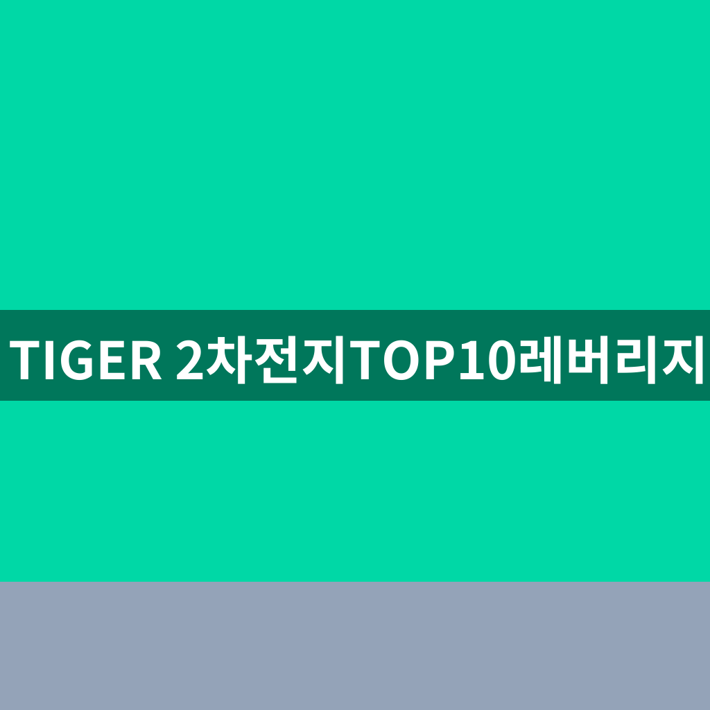 TIGER 2차전지TOP10레버리지