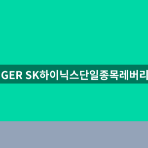 TIGER SK하이닉스단일종목레버리지 주가 1분만에 확인하는법