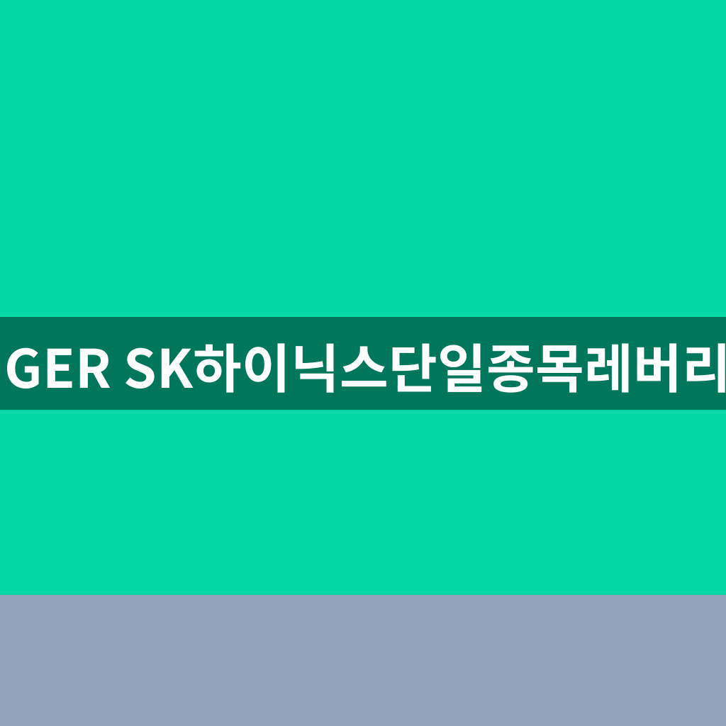 TIGER SK하이닉스단일종목레버리지
