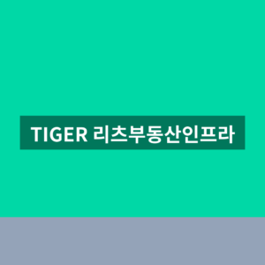 TIGER 리츠부동산인프라 배당금 1번에 확인하는법