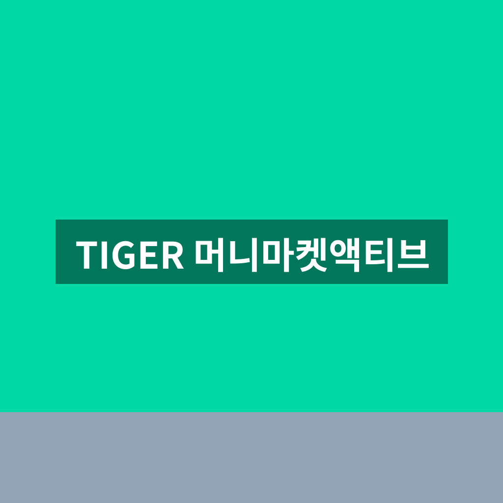 TIGER 머니마켓액티브