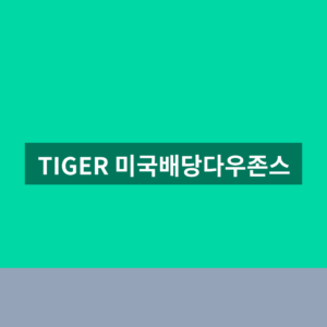 TIGER 미국배당다우존스 배당일 1번에 확인하는법