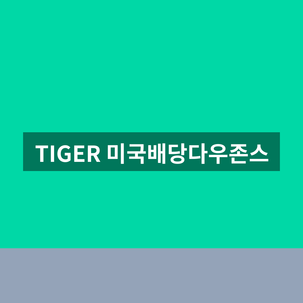 TIGER 미국배당다우존스
