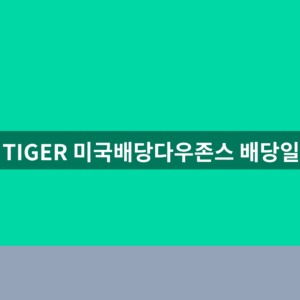 TIGER 미국배당다우존스 배당일 월배당 1번 확인법
