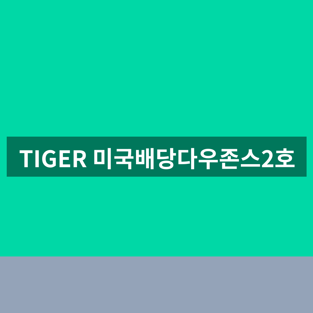 TIGER 미국배당다우존스2호