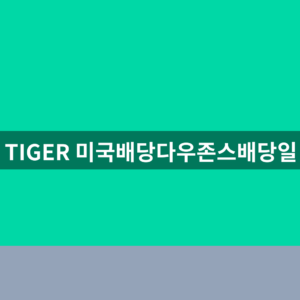 TIGER 미국배당다우존스배당일 배당금 3가지 확인법