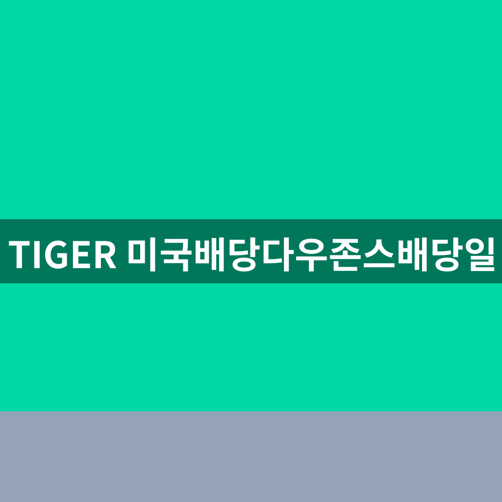 TIGER 미국배당다우존스배당일