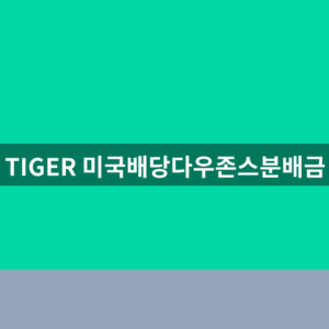 TIGER 미국배당다우존스분배금 배당일 1분 확인법