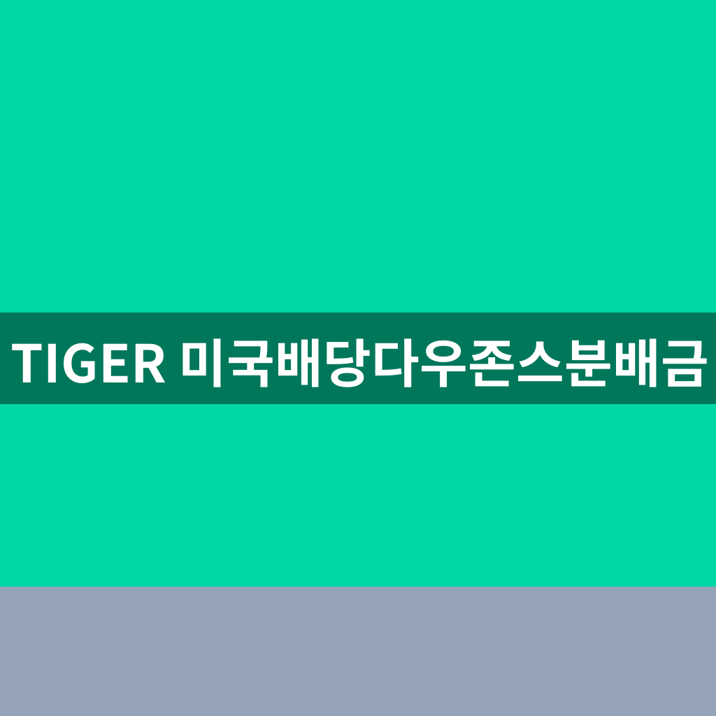TIGER 미국배당다우존스분배금