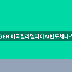 TIGER 미국필라델피아AI반도체나스닥 1분만에 보는법