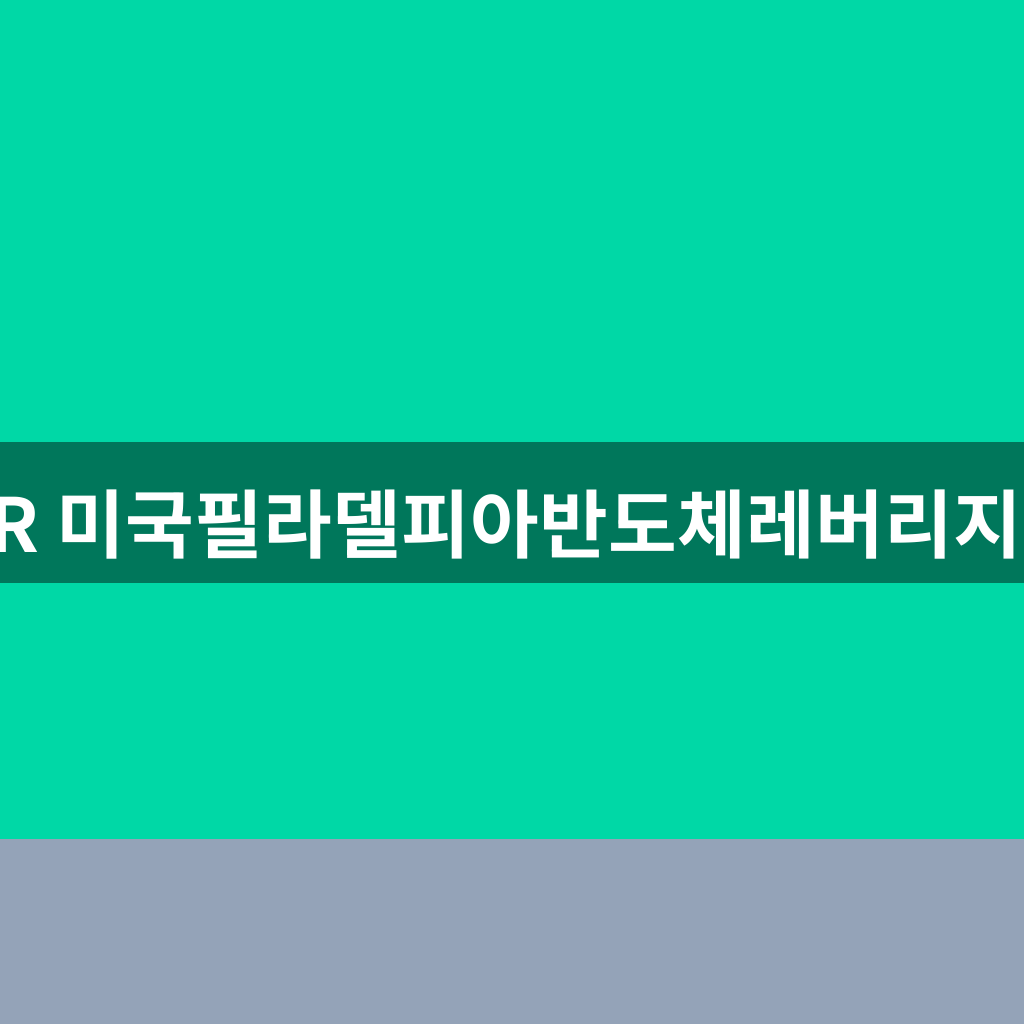TIGER 미국필라델피아반도체레버리지(합성)