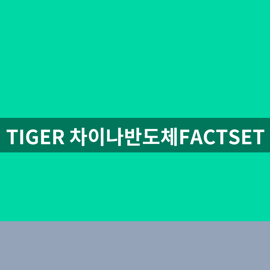 TIGER 차이나반도체FACTSET