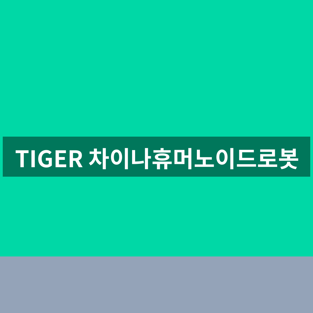 TIGER 차이나휴머노이드로봇