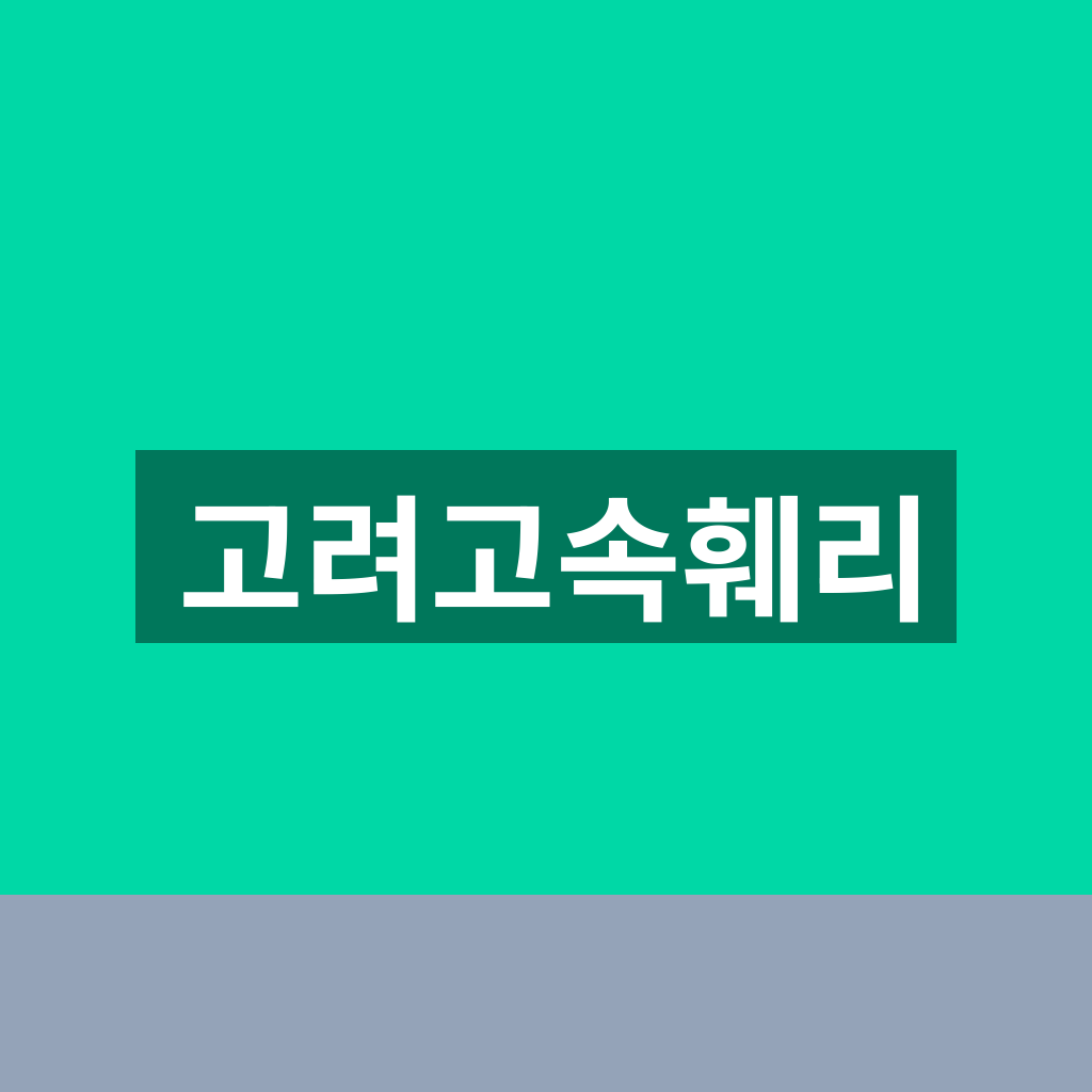 고려고속훼리