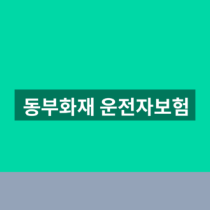 동부화재 운전자보험 보장 1분만에 확인하는법