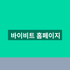 바이비트 홈페이지