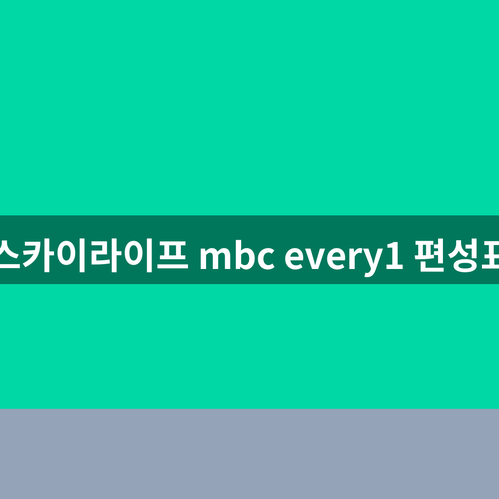 스카이라이프 mbc every1 편성표