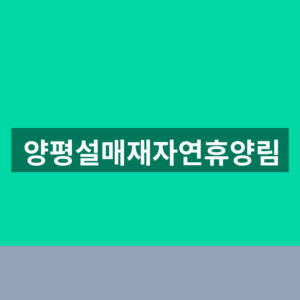 양평설매재자연휴양림 예약 1분만에 찾는법
