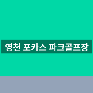 영천 포카스 파크골프장 예약 1분만에 찾는법