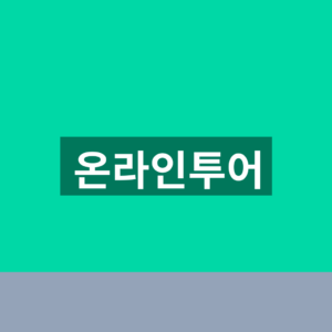 온라인투어