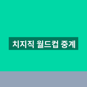 치지직 월드컵 중계 보는 방법 1분만에 확인하는법
