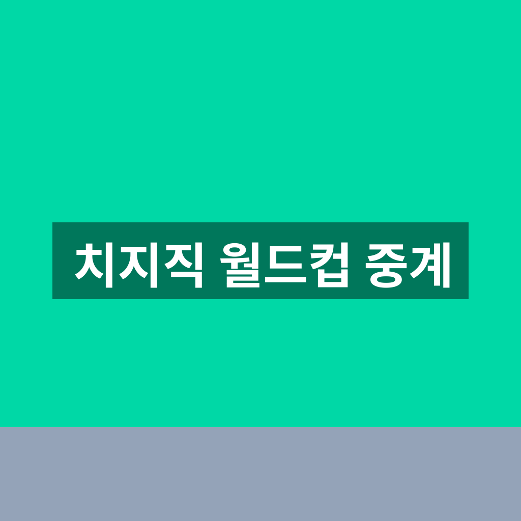 치지직 월드컵 중계