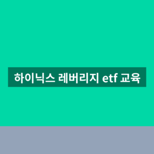 하이닉스 레버리지 etf 교육 1분만에 확인하는법