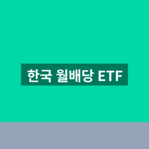 한국 월배당 ETF 추천 기준 1분만에 확인하는법