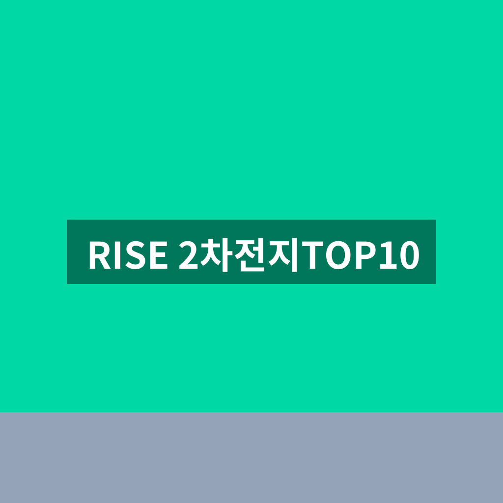 RISE 2차전지TOP10