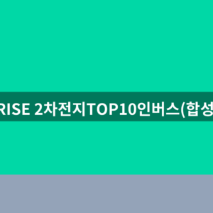 RISE 2차전지TOP10인버스(합성) ETF 주가 종목코드 3가지 확인법