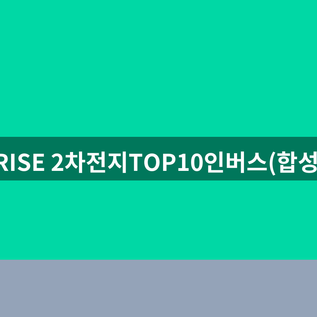 RISE 2차전지TOP10인버스(합성)