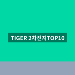 TIGER 2차전지TOP10 레버리지 ETF 주가 종목코드 공식 확인법