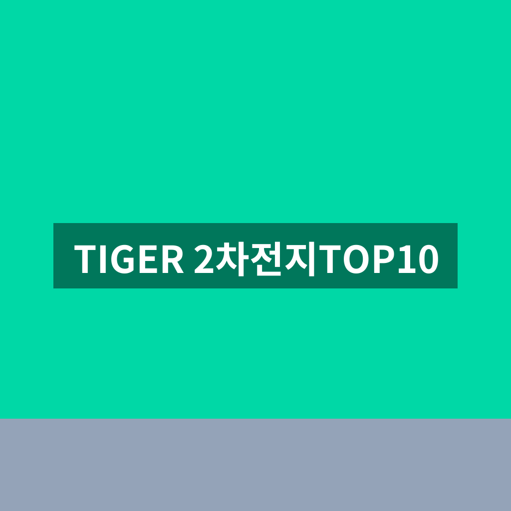 TIGER 2차전지TOP10