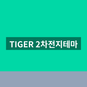 TIGER 2차전지테마 ETF 배당금 전망 3가지 확인법 2 TIGER 2차전지테마