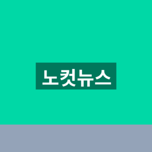 노컷뉴스