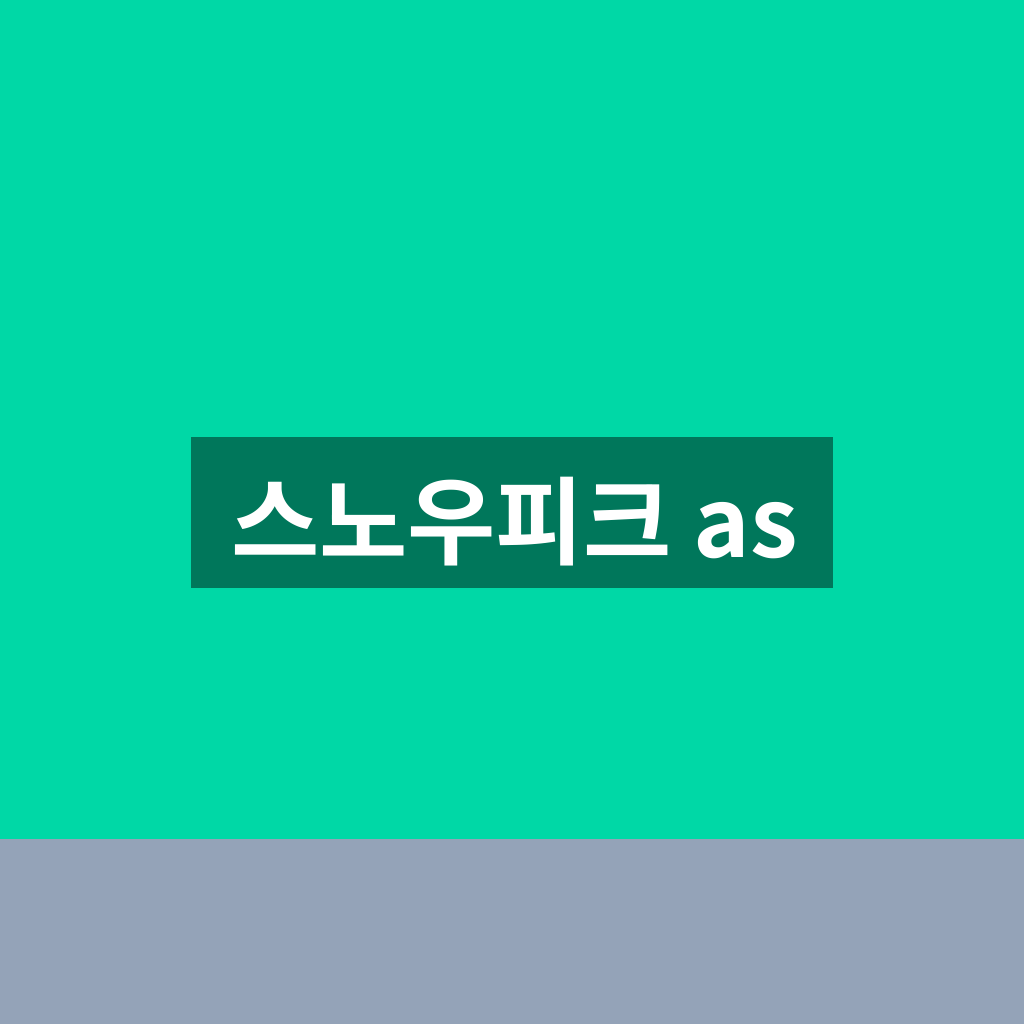 스노우피크 as