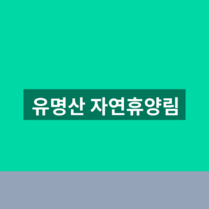 유명산 자연휴양림 예약 객실요금 3만9000원부터 입실시간 안내 총정리 8 유명산 자연휴양림