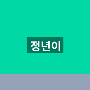 정년이