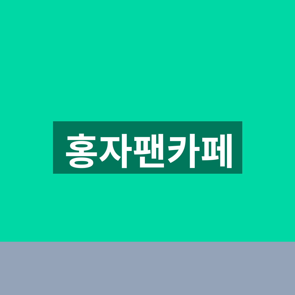 홍자팬카페