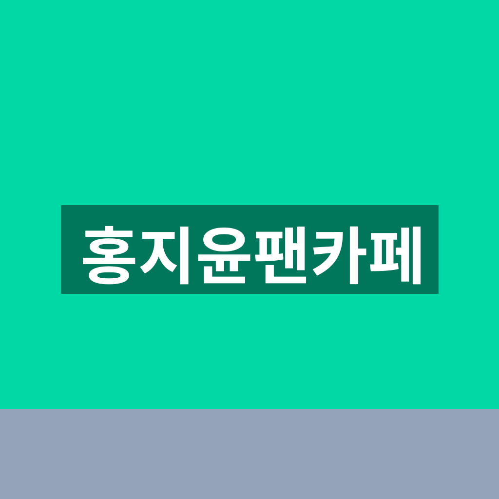 홍지윤팬카페