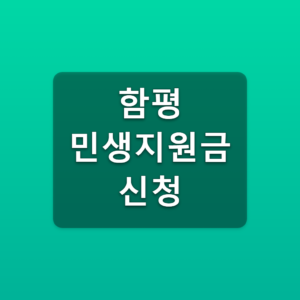 함평 민생지원금 신청