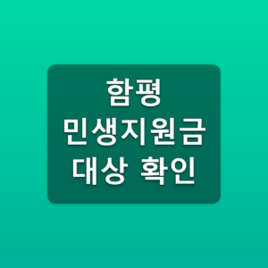 함평 민생지원금 대상 확인