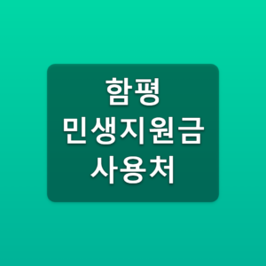 함평 민생지원금 사용처