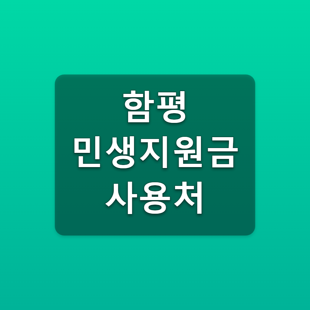 함평 민생지원금 사용처